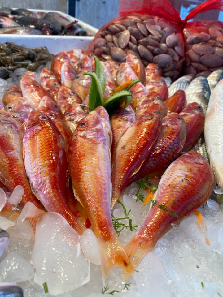 Red Mullet Fish 🐟